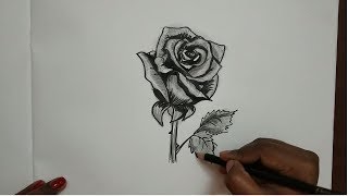 This video shows step by pencil drawing of realistic rose