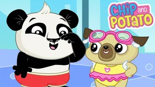 Chip and Potato | Chip's Swimming Lesson // Spud's Homework | Cartoons For Kids | Watch on Netflix