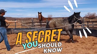 I HAVE BEEN KEEPING A SECRET! by The Farm on Route 66 8,656 views 1 month ago 18 minutes