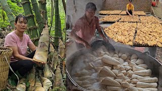 How to harvest bamboo shoots. The process of drying bamboo shoots for sale to the market. (Ep 193).