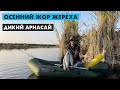 Дикий "Арнасай" осенний жор жереха (Рыбалка в Узбекистане)