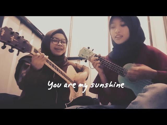 Cat Stevens - You Are My Sunshine (Lyrics Cover) class=