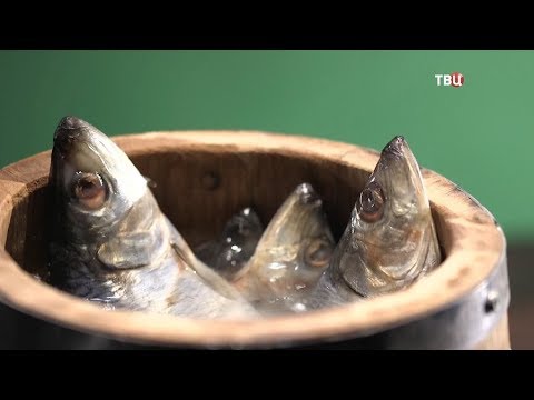 Сельдь атлантическая филе кусочки. Естественный отбор