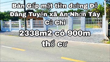 Nhà đất củ chi | giá rẻ | giới thiệu | Lô đất 2 mặt tiền trước sau 2338m2 có 900m thổ cư