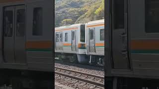 211系5000番台 SS10編成+LL13編成 興津駅付近通過