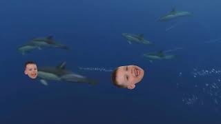 Shooting Turkey Stars