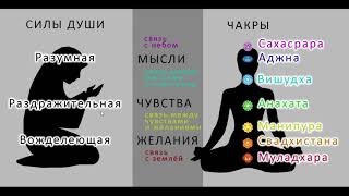 Восточная И Западная Антропологии.  Часть 1.  Чакры И Силы Души