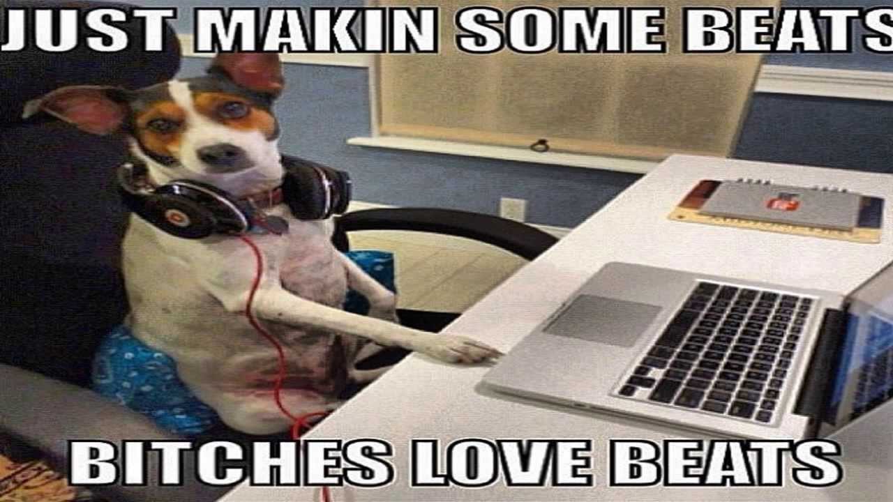 L.MD ON THE TRACK SOUND KIT FREE!!! (Trap pack)