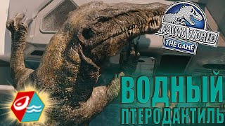 картинка: КАК СКАЗАЛА МОЯ ДЕВУШКА 