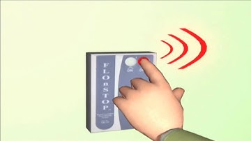 Flo N Stop Animation2