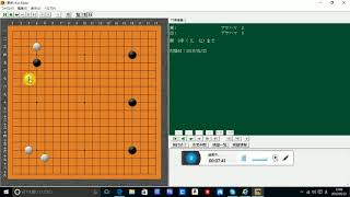 囲碁　小目　実践に強くなる！