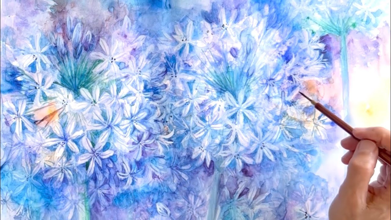 アガパンサスの花を描く/透明水彩/watercolor painting of flowers