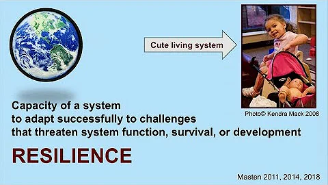 Impact of Early Life Deprivation  Charles A. Nelso...