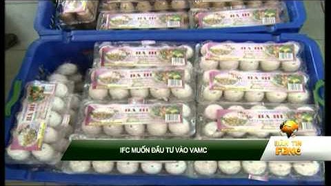 IFC muốn đầu tư vào VAMC