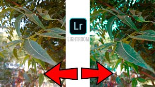 PHONE KI PHOTO EDITING FOR LIGHTROOM GRIN ON THE LIGHTROOM screenshot 5