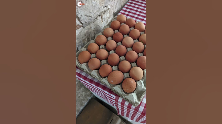 Яичный обвал: цены рухнули в 4 раза! Что случилось с главным продуктом россиян?