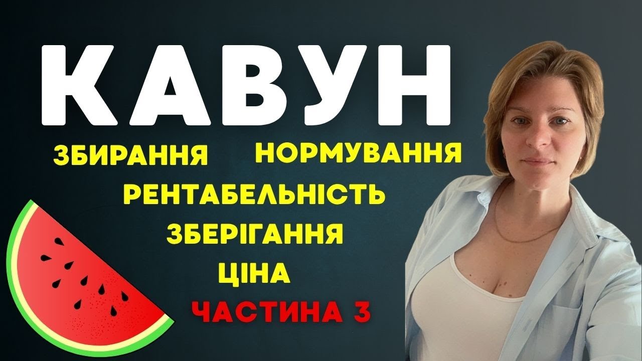 Вирощування кавуна: кількість зав'язі, збір, рентабельність, зберігання