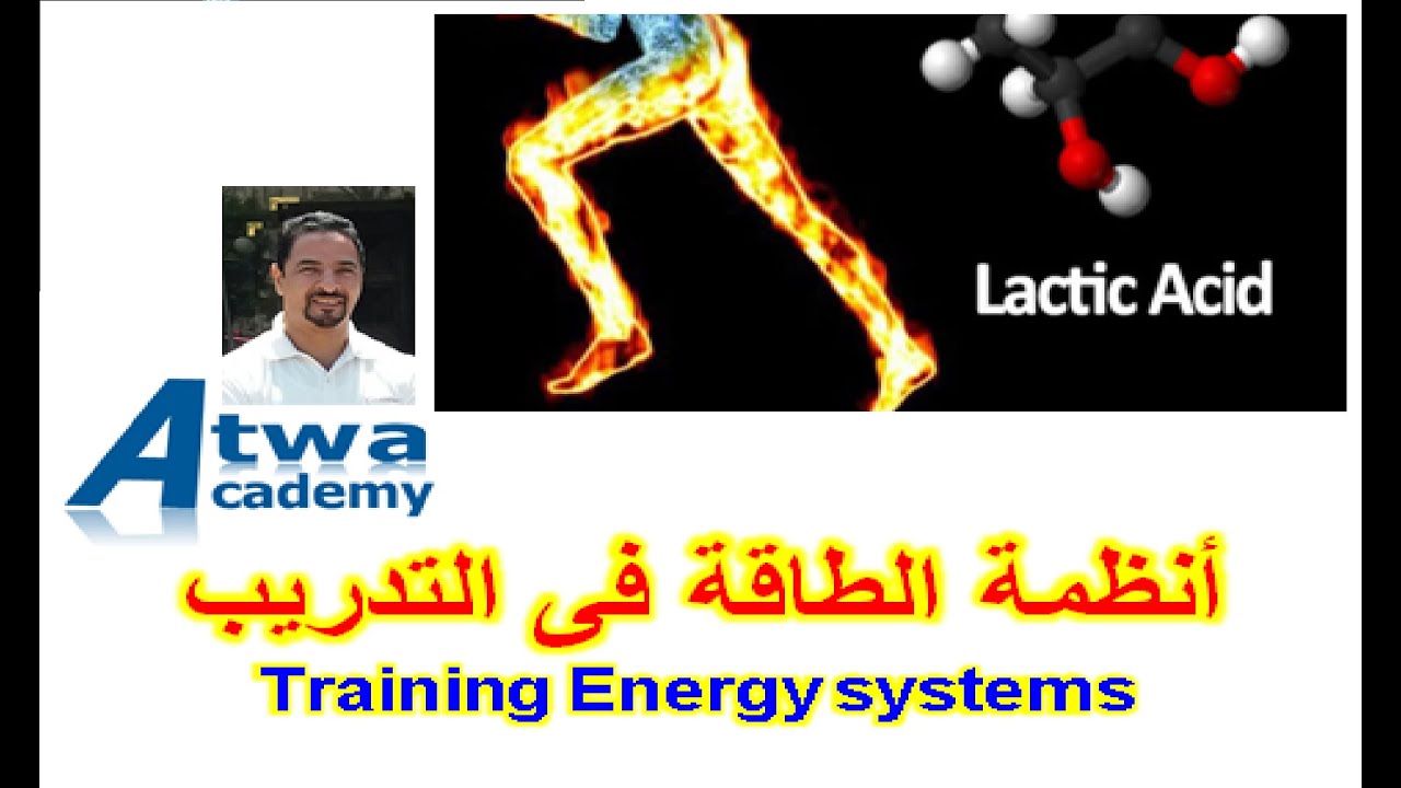 تعرف على أنظمة الطاقة فى المجال الرياضى Energy system