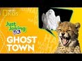Ghosts, Mummies, and Tongue Twisters