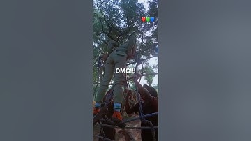 Female Corper needed over 10 men to do this #shorts #comedy #nigeria #nysc #corper