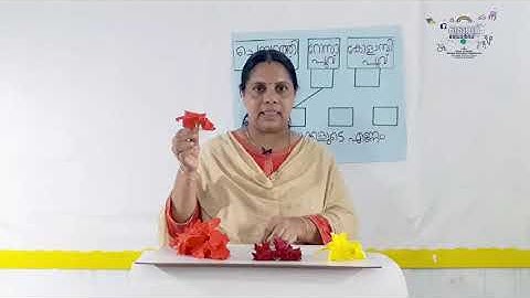 Std 2 Maths Unit 1 Cass 08 White Board HI