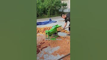 Máy Tách Hạt Ngô 3A750W: Hạt Ngô Sạch Đẹp, Không Bị Nát, Năng Suất Cao