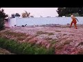 Man Prank Fake Funny Video🐺🤣 #prank #funny