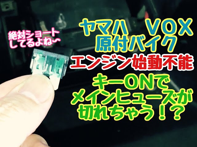 エンジンがかからない！？ ヤマハ VOX 原付バイク キーONでヒューズが