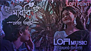 মাধবি লতা আমি || Madhobi Lota Ami || Slowed Music || Slowed Reverb Lofi Music || Lofi Point