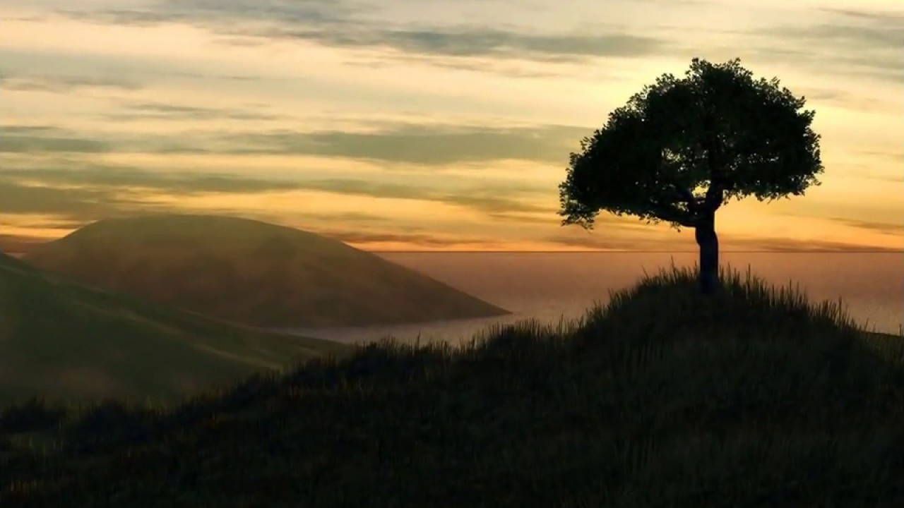 ppt on IMPORTANCE OF TREES | get ppt on your mail - YouTube