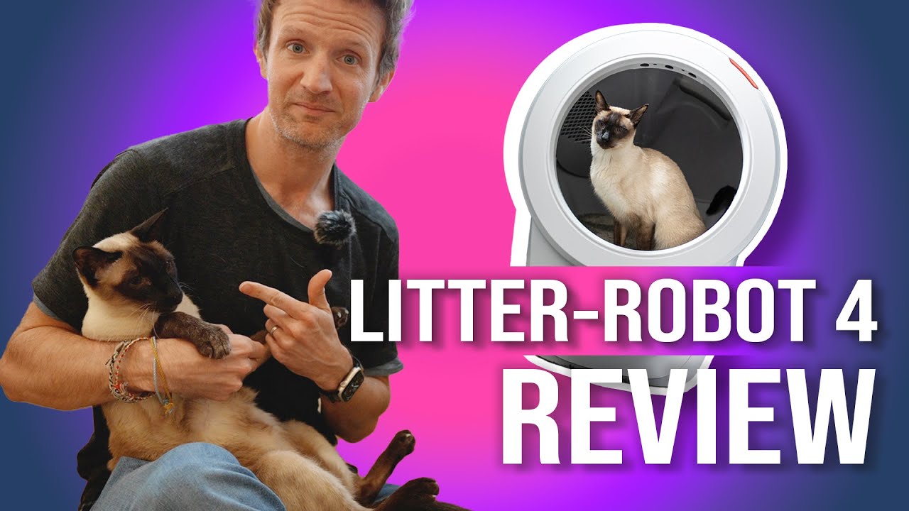 Stop Litter Box Scatter with Litter That Doesn't Track