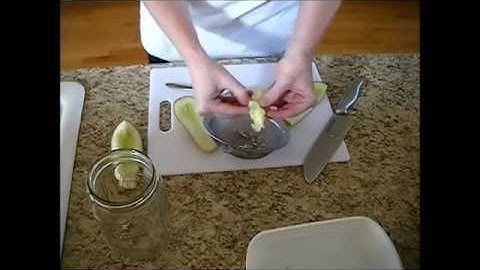 Seed Saving Series: How to Save Cucumber or Pickle Seeds