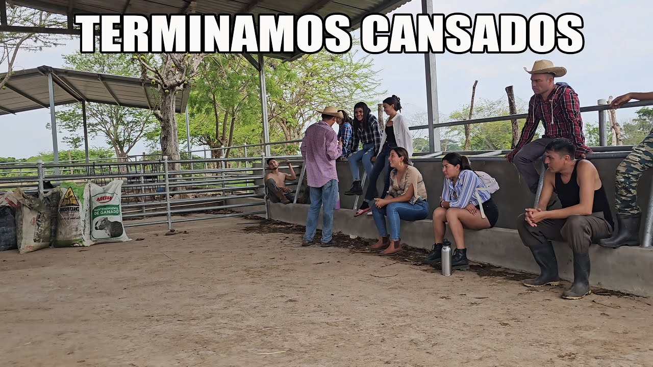 Después de una jornada de trabajo terminamos cansados.