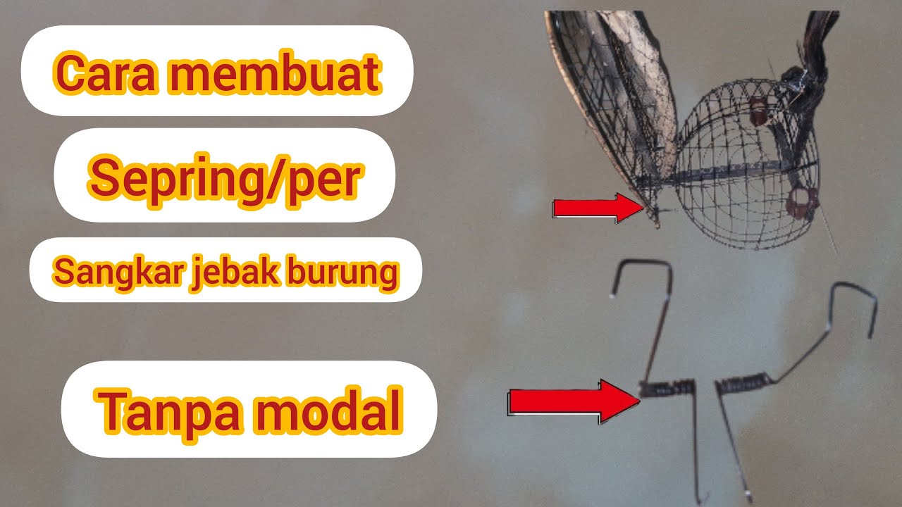Spring Jebak cara membuat spring/perr pada sangkar jebak burung dengan mudah - YouTube