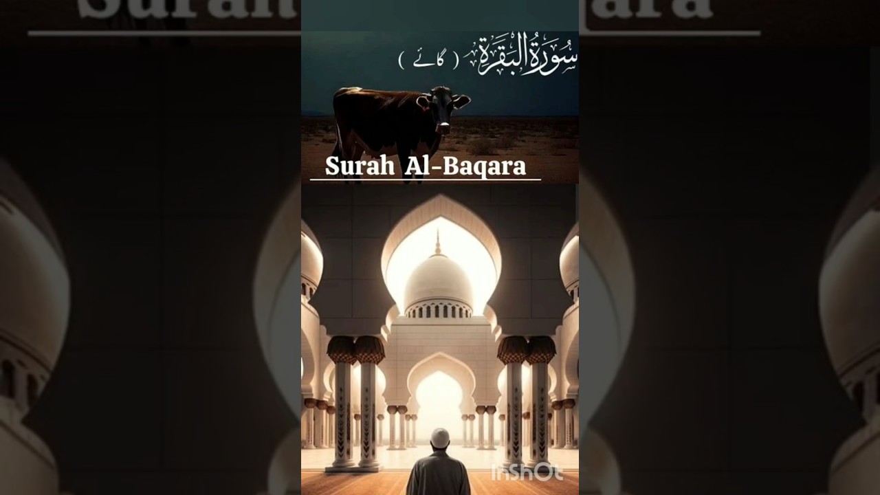 surah al baqra ka amal #dua #wazifa