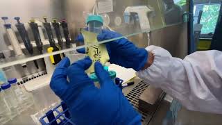 Safe Transportation of Reagents  / HK-Joint-School Team (iGEM 2025)