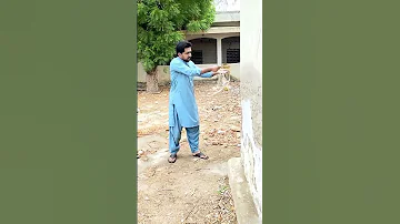 Bara Jnawar Araha He Shortsfeed Qurbani Islamic 