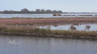 Cabanes De Chasse Dans Les Barene De Lio Piccolo
