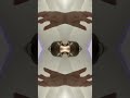 #wallpaper #angel #kaleidoscope #nlechoppa