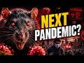 Hanta Virus is Coming | Reality of Ghost Ship | Kashyap