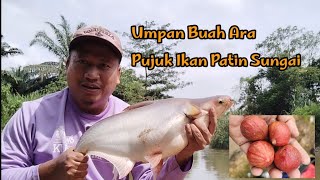 Resepi Buah Ara Pujuk Ikan Patin Sungai