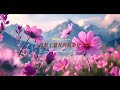 【故事音乐Story Music】钢琴曲《高原上盛开的格桑花 Gesang flowers blooming on the plateau》