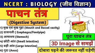 पाचन तंत्र | Digestive system | pachan tantra | complete digestive system | Biology | Study vines