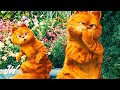 Chipi Chipi Chapa Chapa ( idk-y Tech House  ) | Garfield [4K]