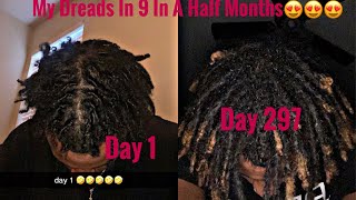 My 9 1/2 Month Dread Journey 📌 #dreadlocks #dreadjourney #dread #dreads #locs #locsstyles #locs