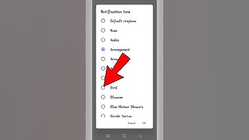 Whatsapp Notification Tone Kaise Change Kare | How To Change Whatsapp Notification Tone | #sorts
