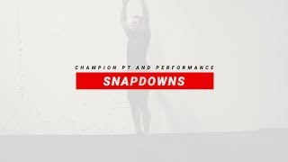 Celebrity Snapdowns Wealth