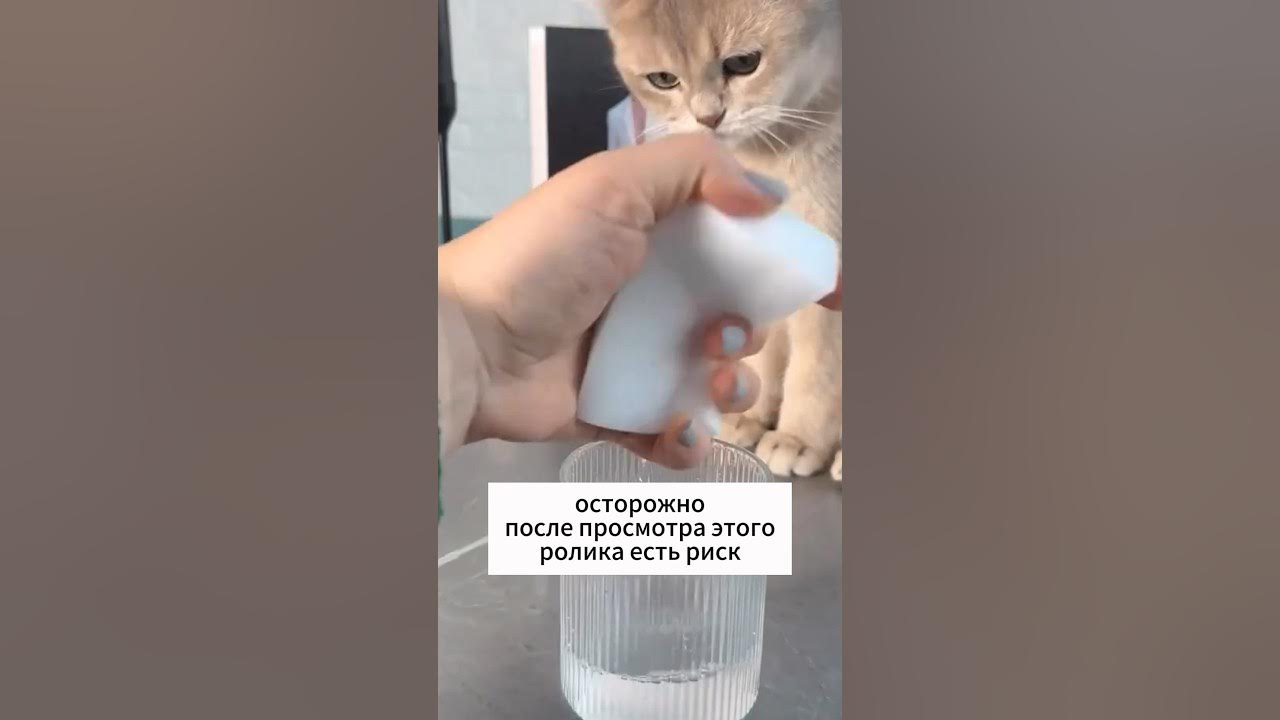 Супер губка 👆 сохраняй и заходи ️ - YouTube