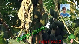 Download Lagu kanca pabeta❤❤😂 MP3