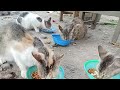 Cuaca yang panas di siang hari, mereka sudah pada kelaparan